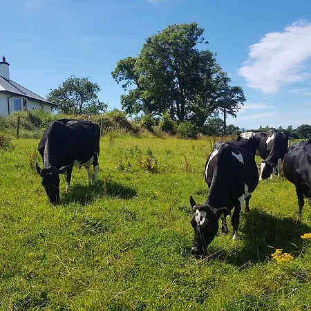 Debbie's At Tullig House & Farm Hébergement de vacances Killarney