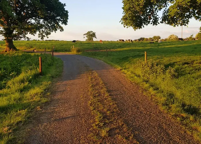 Debbie's At Tullig House & Farm