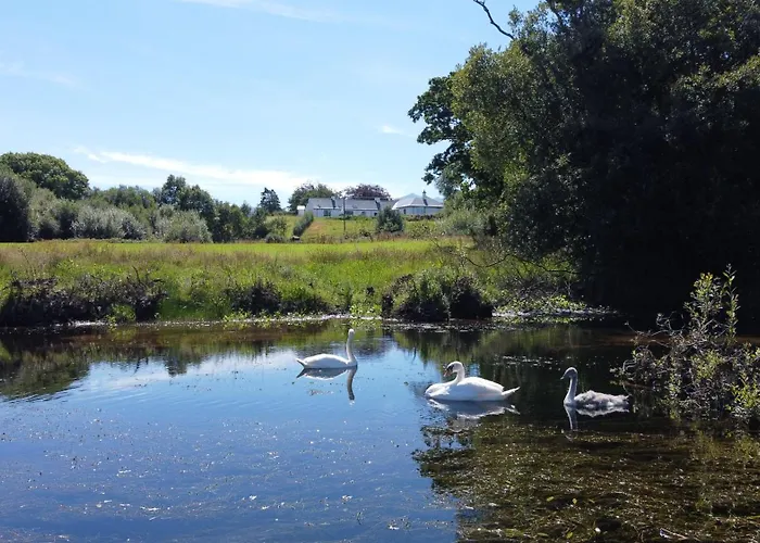 Debbie's At Tullig House & Farm Casa vacanze Cill Airne
