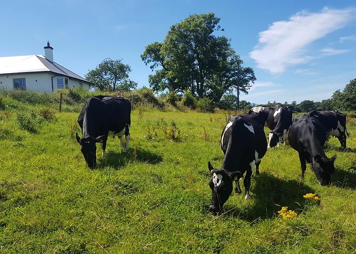 Debbie's At Tullig House & Farm Casa de Férias Killarney