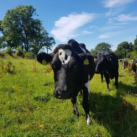 Holiday home Debbie's At Tullig House & Farm *