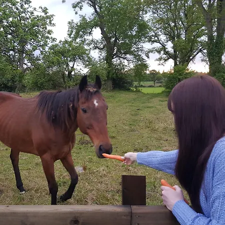 Debbie's At Tullig House & Farm Holiday home