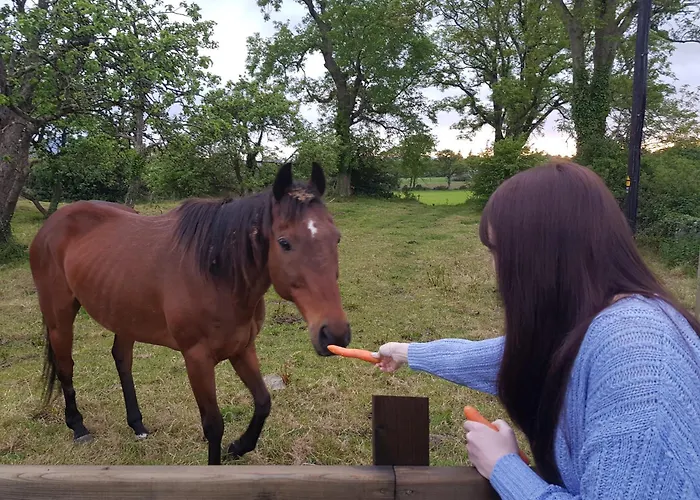 Debbie's At Tullig House & Farm Prázdninový dům